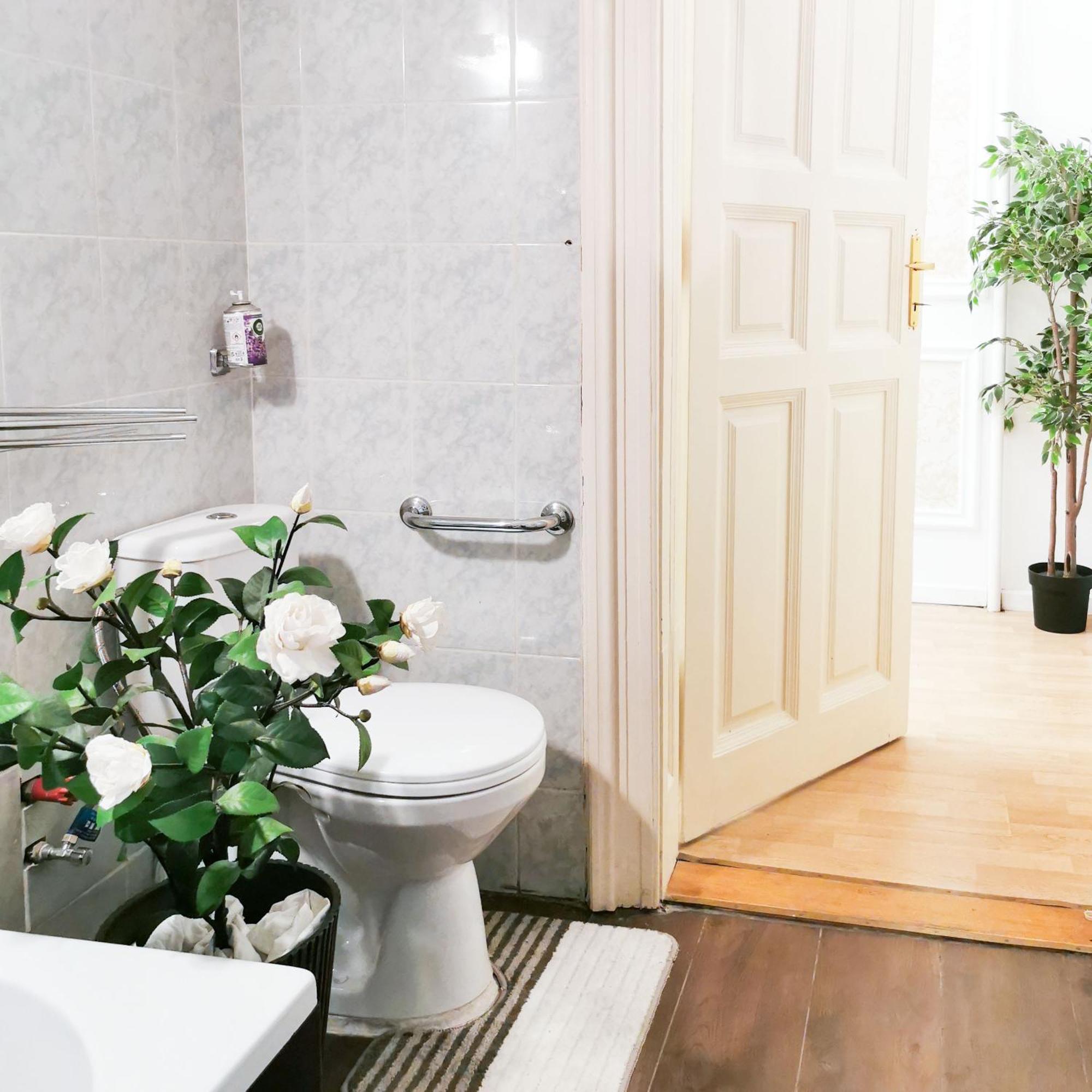 Apartmán Ferenc