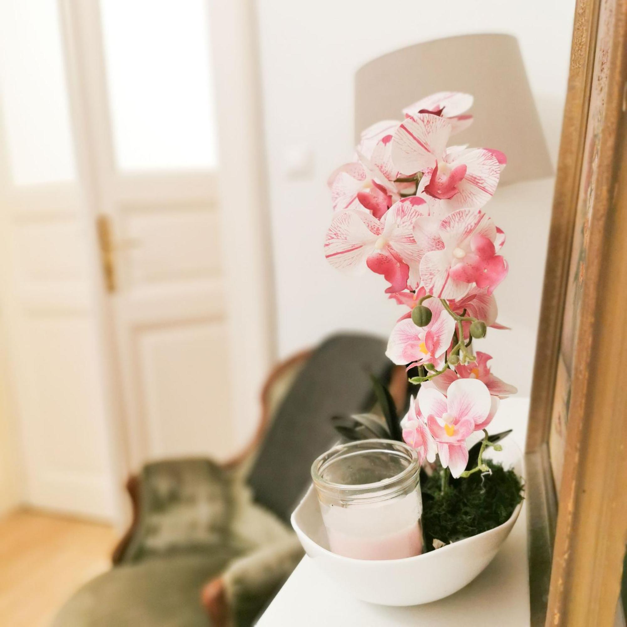 Ferenc Apartamento *